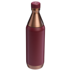 All Day Slim Bottle | 20 OZ - Stanley Create
