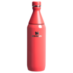 All Day Slim Bottle | 20 OZ - Stanley Create