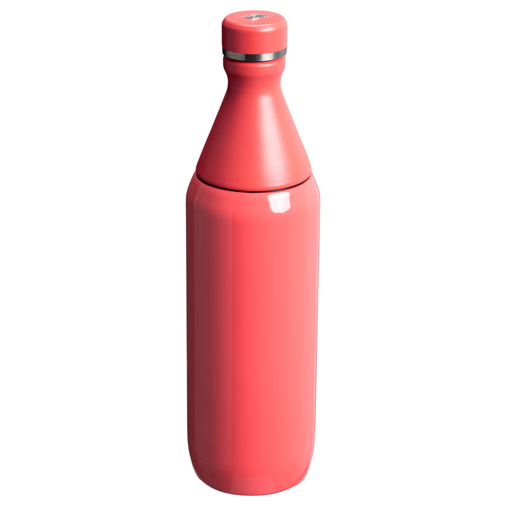 All Day Slim Bottle | 20 OZ