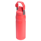 IceFlow™ Bottle with Fast Flow Lid | 24 OZ - Stanley Create