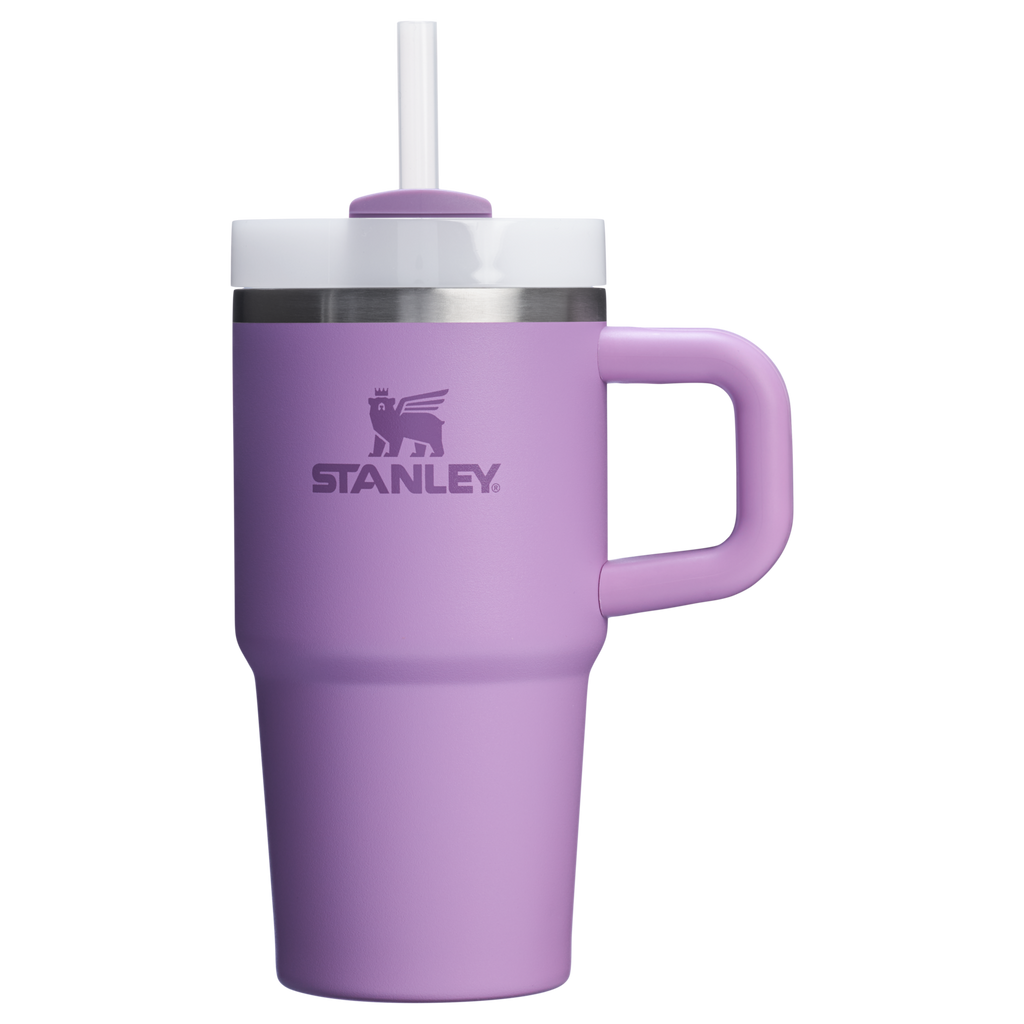 The Quencher H2.O FlowState™ Tumbler | 20 OZ - Stanley Create